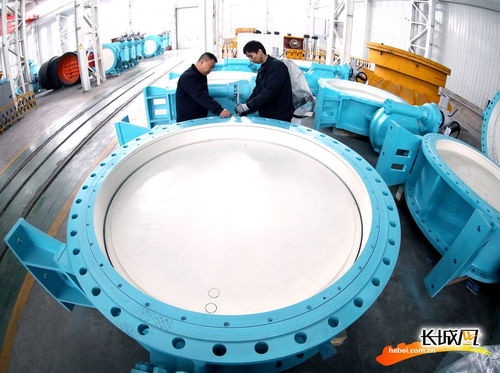 智能裝備制造集群助力河北隆堯經(jīng)濟(jì)高質(zhì)量發(fā)展 閥門制造業(yè)的轉(zhuǎn)型與升級(jí)